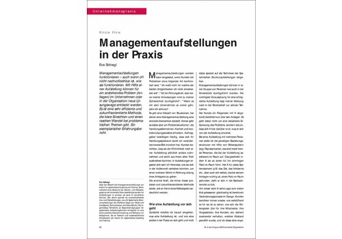 Managementaufstellungen in der Praxis