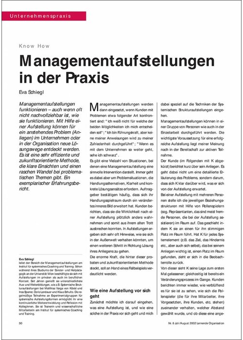 Managementaufstellungen in der Praxis