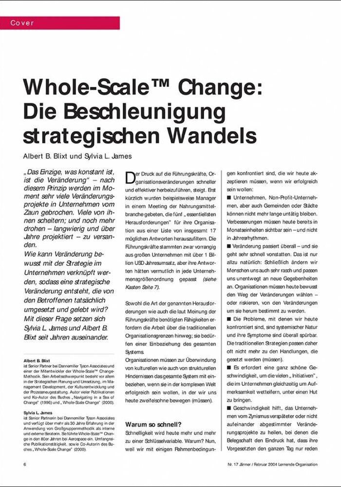 Whole-Scale™ Change: Die Beschleunigung strategischen Wandels