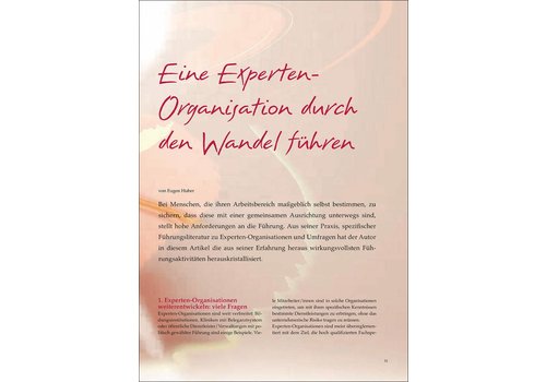 Eine Experten- Organisation durch den Wandel führen