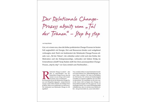 Der Relationale Change- Prozess abseits vom „Tal der Tränen“ – Step by step