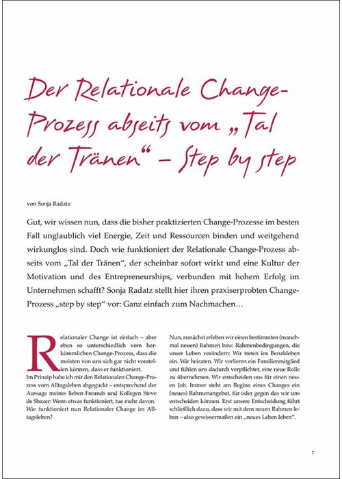 Der Relationale Change- Prozess abseits vom „Tal der Tränen“ – Step by step