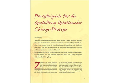 Praxisbeispiele für die Gestaltung Relationaler Change-Prozesse