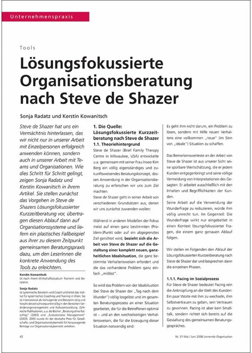 Lösungsfokussierte Organisationsberatung nach Steve de Shazer