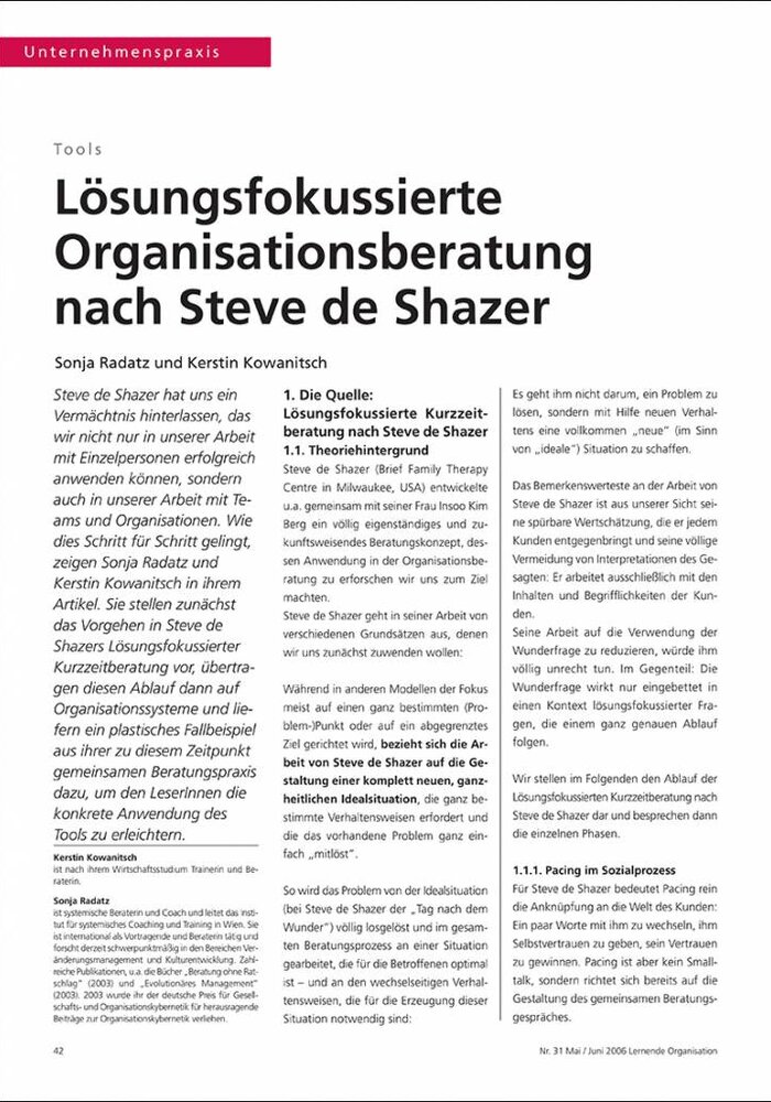 Lösungsfokussierte Organisationsberatung nach Steve de Shazer