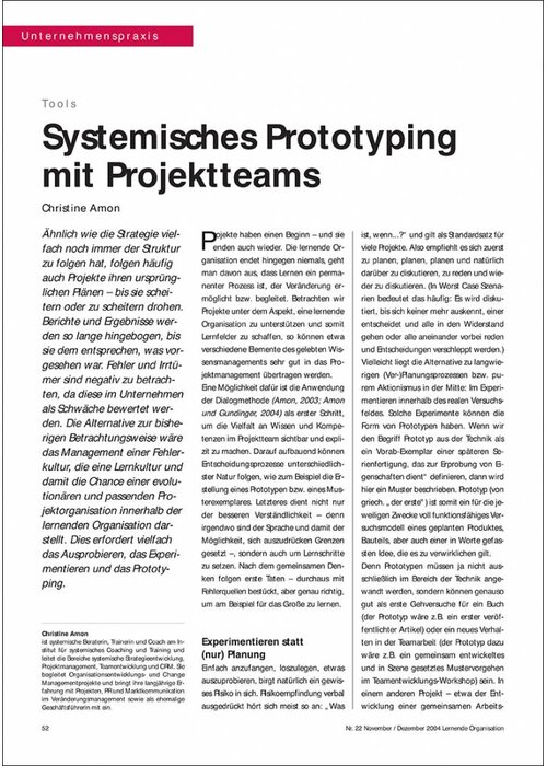 Systemisches Prototyping mit Projektteams