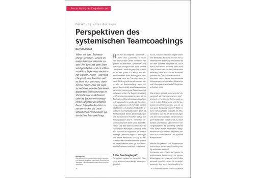 Perspektiven des systemischen Teamcoachings