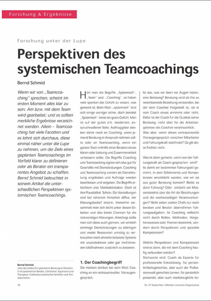 Perspektiven des systemischen Teamcoachings
