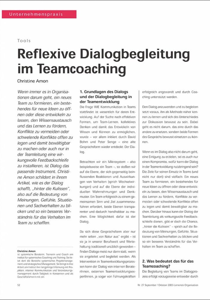 Reflexive Dialogbegleitung im Teamcoaching
