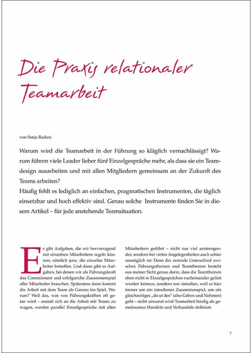 Die Praxis relationaler Teamarbeit