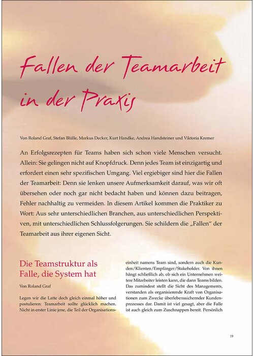 Fallen der Teamarbeit in der Praxis