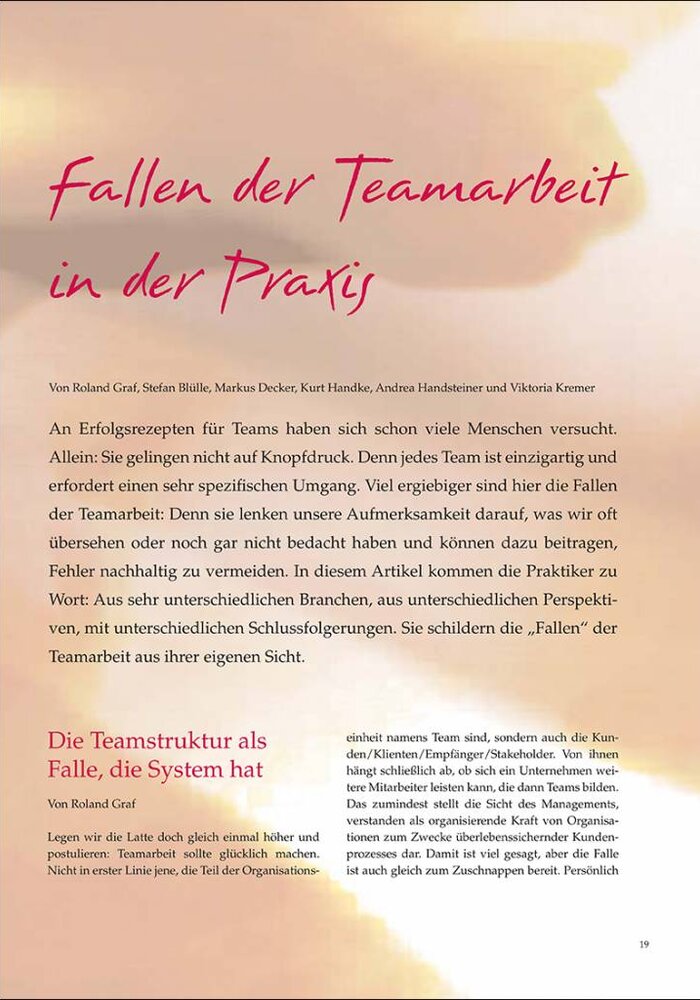 Fallen der Teamarbeit in der Praxis