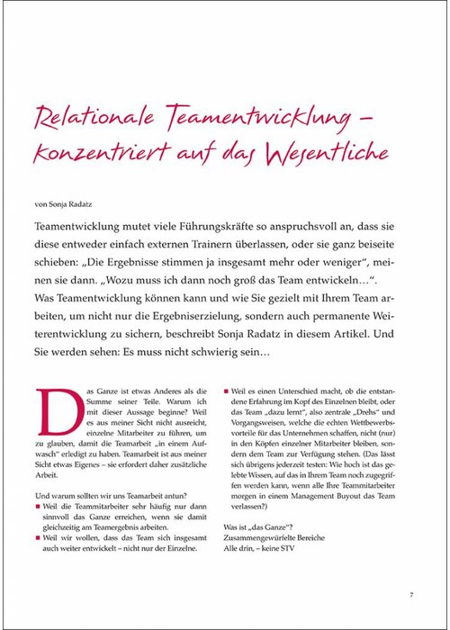 Relationale Teamentwicklung – konzentriert auf das Wesentliche