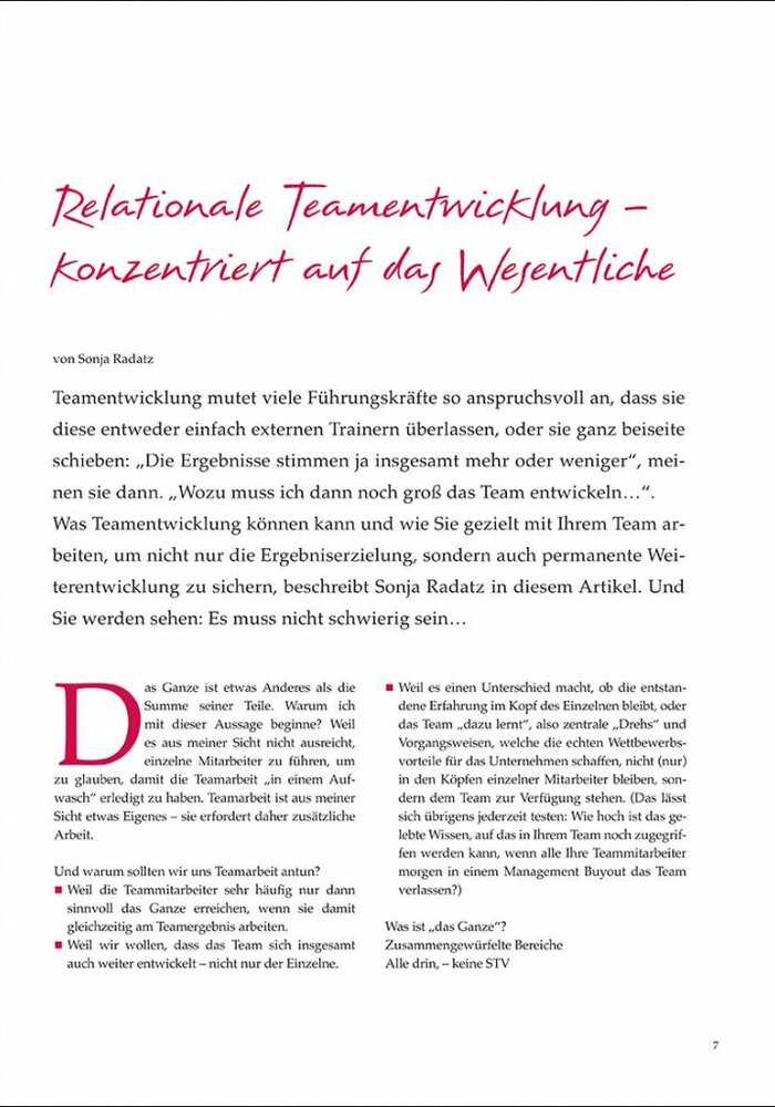 Relationale Teamentwicklung – konzentriert auf das Wesentliche