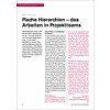 Flache Hierarchien – das Arbeiten in Projektteams