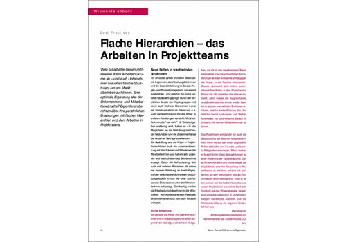 Flache Hierarchien – das Arbeiten in Projektteams