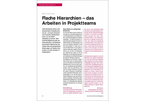 Flache Hierarchien – das Arbeiten in Projektteams