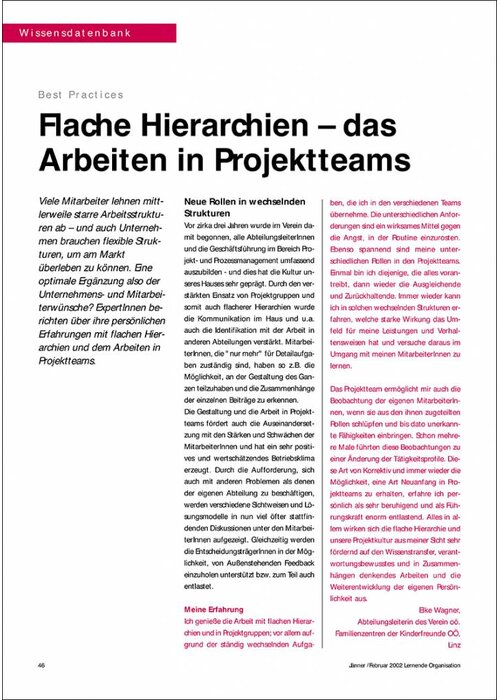 Flache Hierarchien – das Arbeiten in Projektteams
