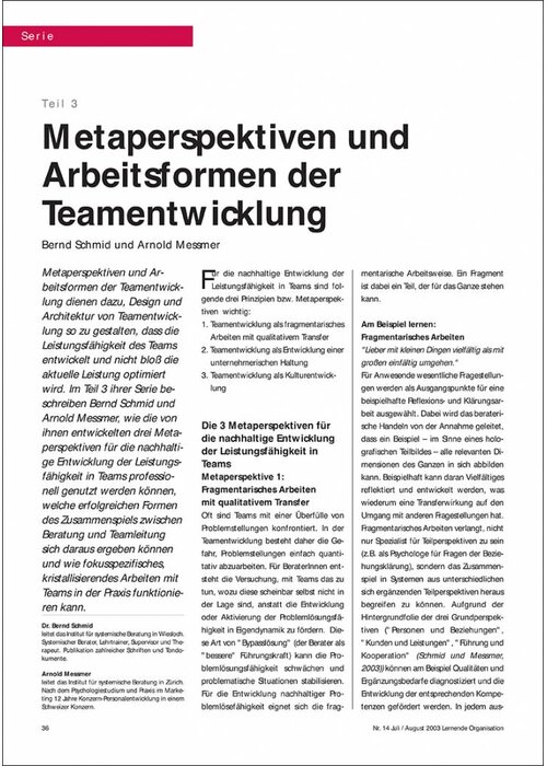 Metaperspektiven und Arbeitsformen der Teamentwicklung