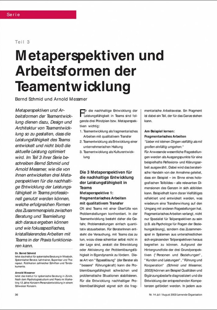 Metaperspektiven und Arbeitsformen der Teamentwicklung