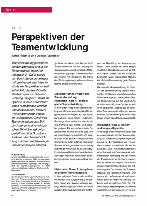 Perspektiven der Teamentwicklung