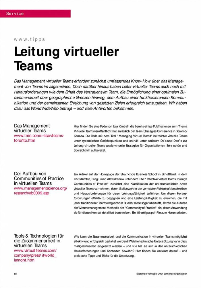 Leitung virtueller Teams