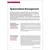 Systemisches Management