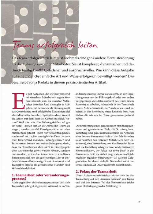 Teams erfolgreich leiten