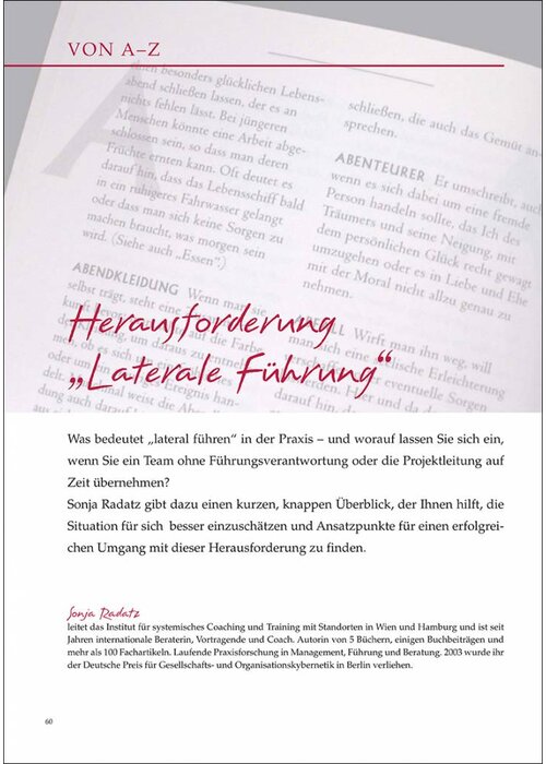 Herausforderung „Laterale Führung“