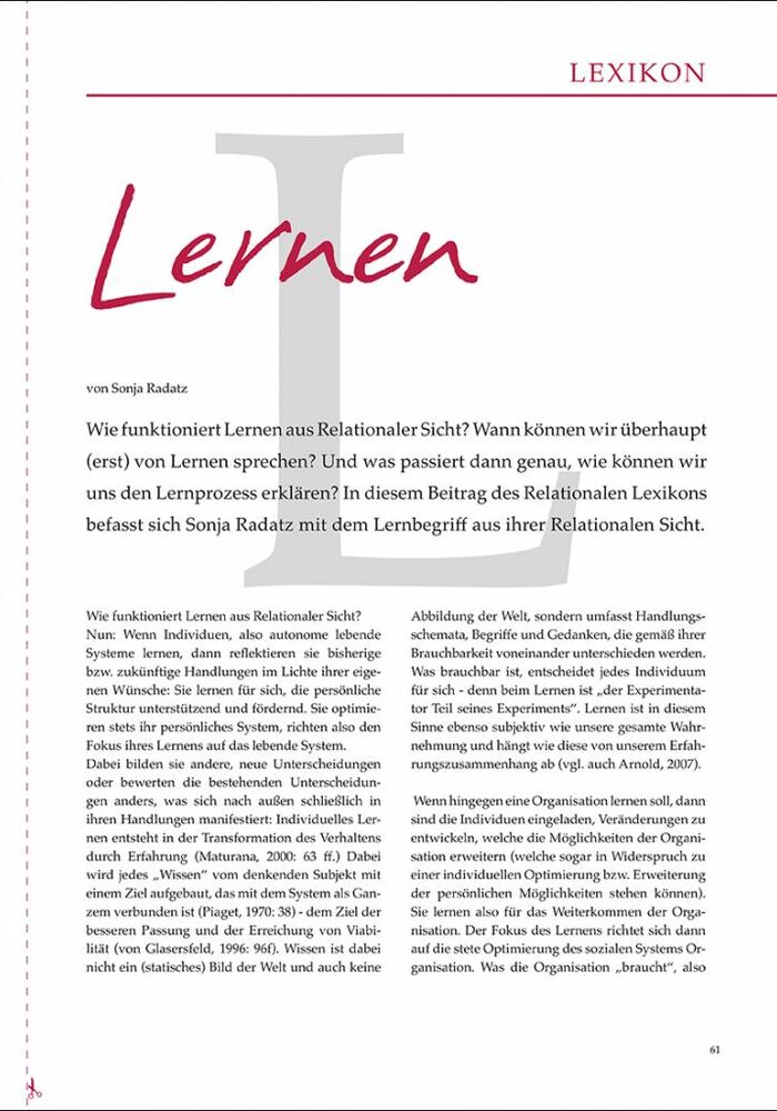 Wie funktioniert Lernen aus Relationaler Sicht?