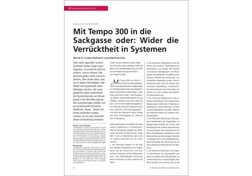 Mit Tempo 300 in die Sackgasse oder: Wider die Verrücktheit in Systemen