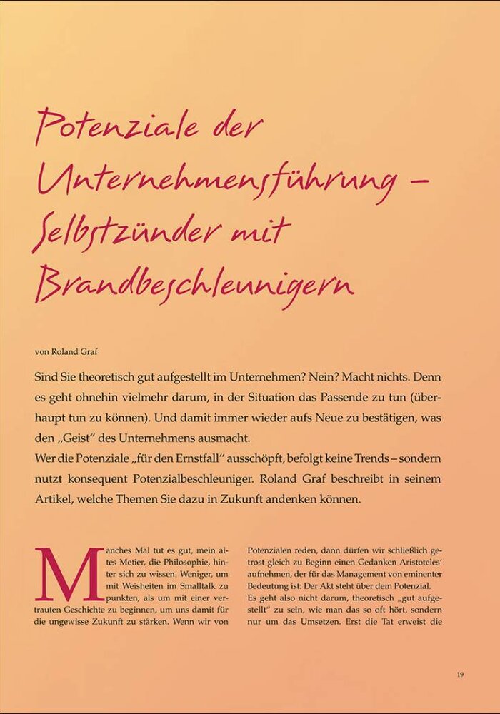 Potenziale der Unternehmensführung – Selbstzünder mit Brandbeschleunigern