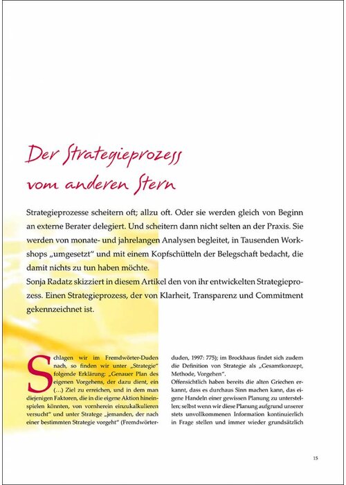Der Strategieprozess vom anderen Stern