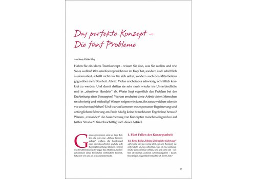 Das perfekte Konzept – Die fünf Probleme