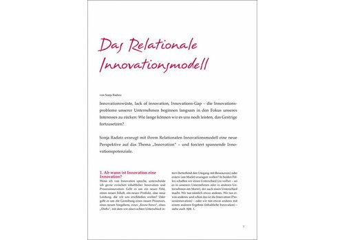 Das Relationale Innovationsmodell