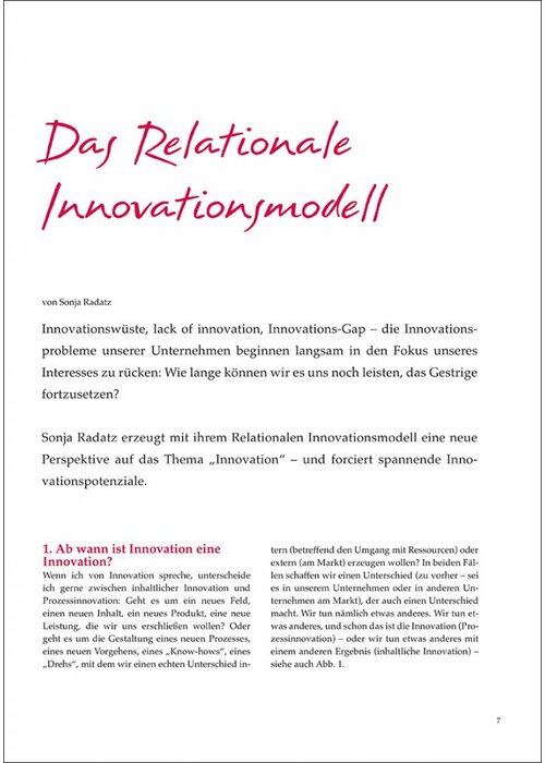Das Relationale Innovationsmodell
