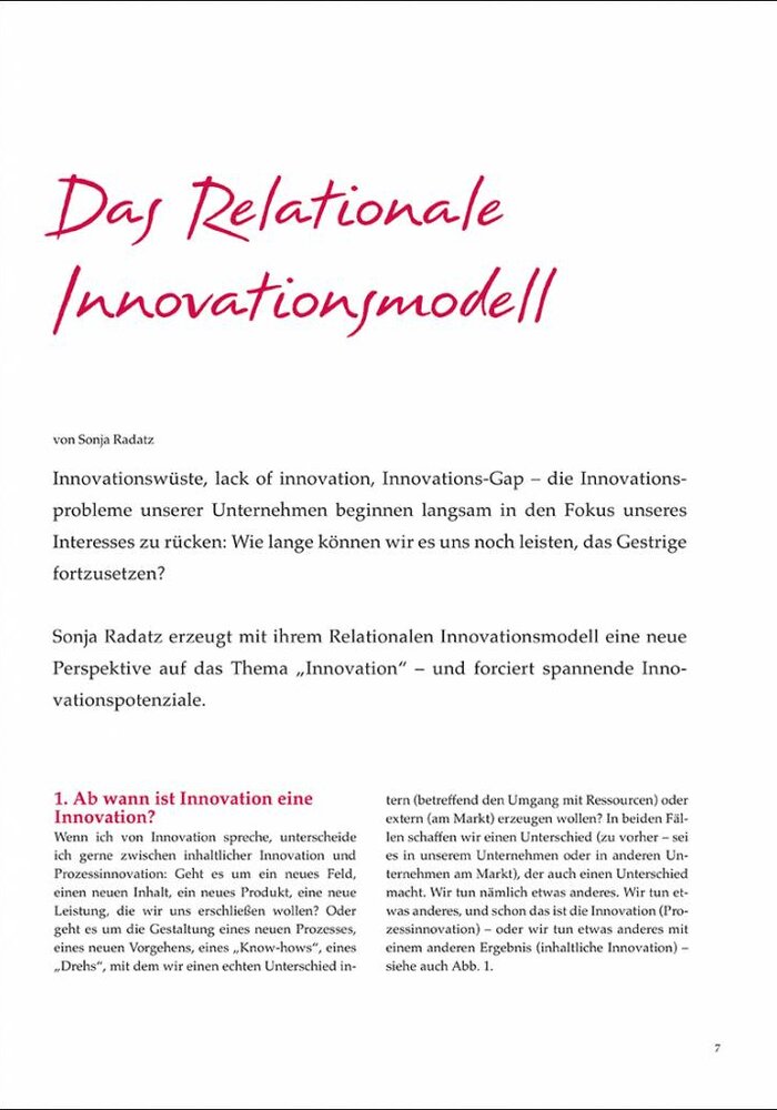 Das Relationale Innovationsmodell