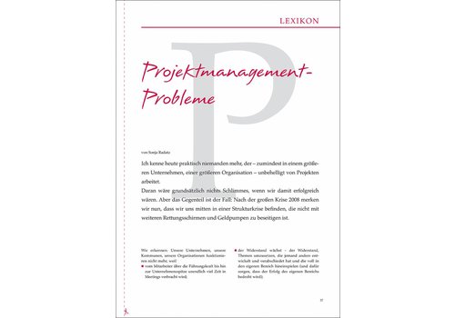Projektmanagement- Probleme