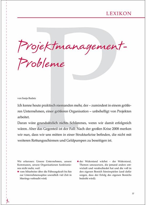 Projektmanagement- Probleme
