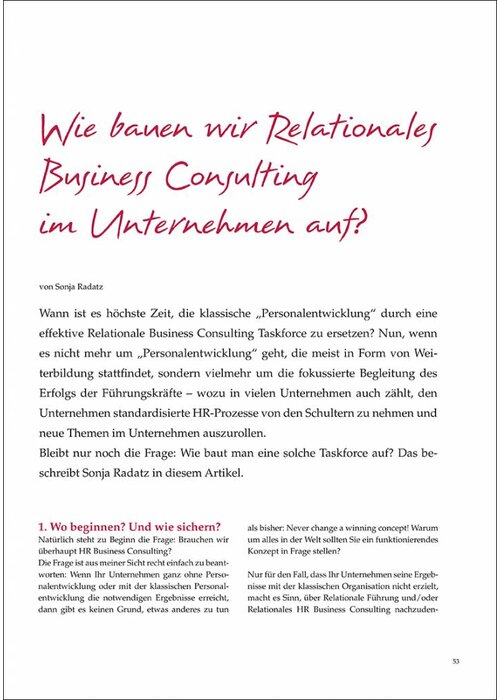 Wie bauen wir Relationales Business Consulting im Unternehmen auf?