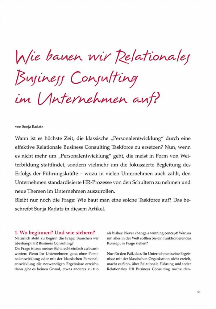 Wie bauen wir Relationales Business Consulting im Unternehmen auf?