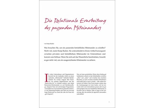 Die Relationale Erarbeitung des passenden Miteinanders