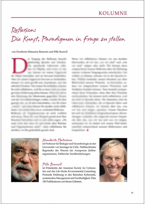 Reflexion: Die Kunst, Paradigmen in Frage zu stellen