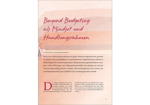 Beyond Budgeting als Mindset und Handlungsrahmen