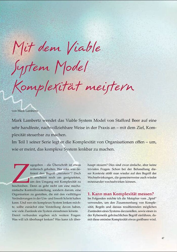 Mit dem Viable System Model Komplexität meistern