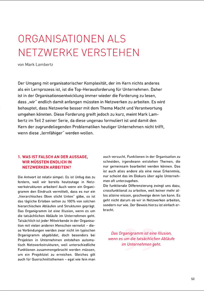 Organisationen als Netzwerke verstehen