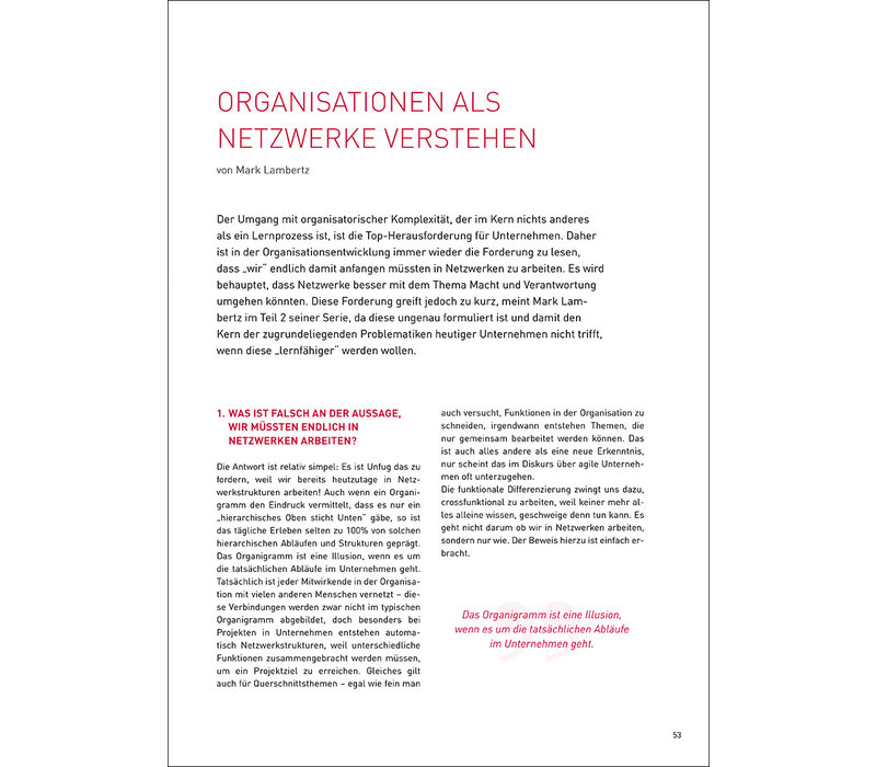 Organisationen als Netzwerke verstehen