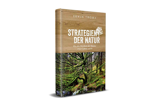 Strategien der Natur 2019 (Thoma E.)