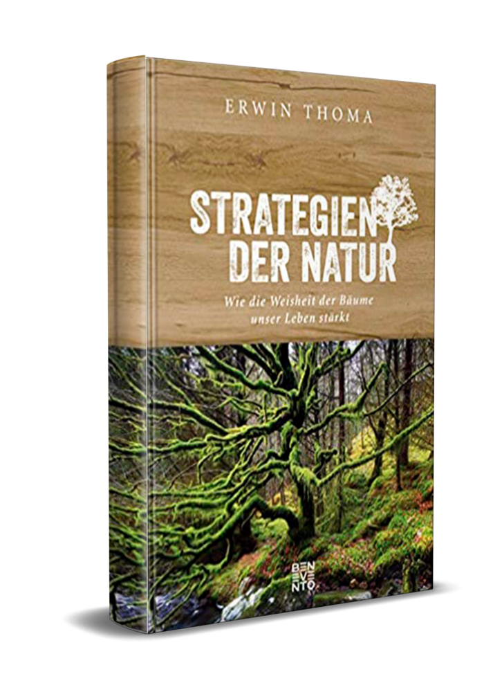 Strategien der Natur 2019 (Thoma E.)