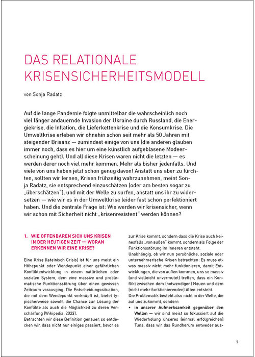 Das Relationale Krisensicherheitsmodell